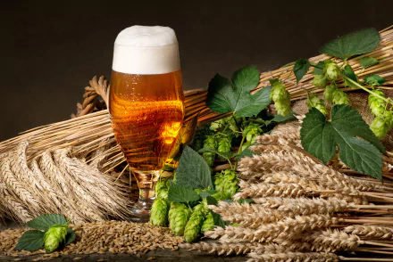 4K Ultra HD still life of a glass of beer surrounded by hop plants and grain, creating a rich, natural background for a PC desktop wallpaper.