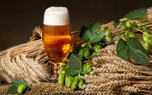 4K Ultra HD still life of a glass of beer surrounded by hop plants and grain, creating a rich, natural background for a PC desktop wallpaper.