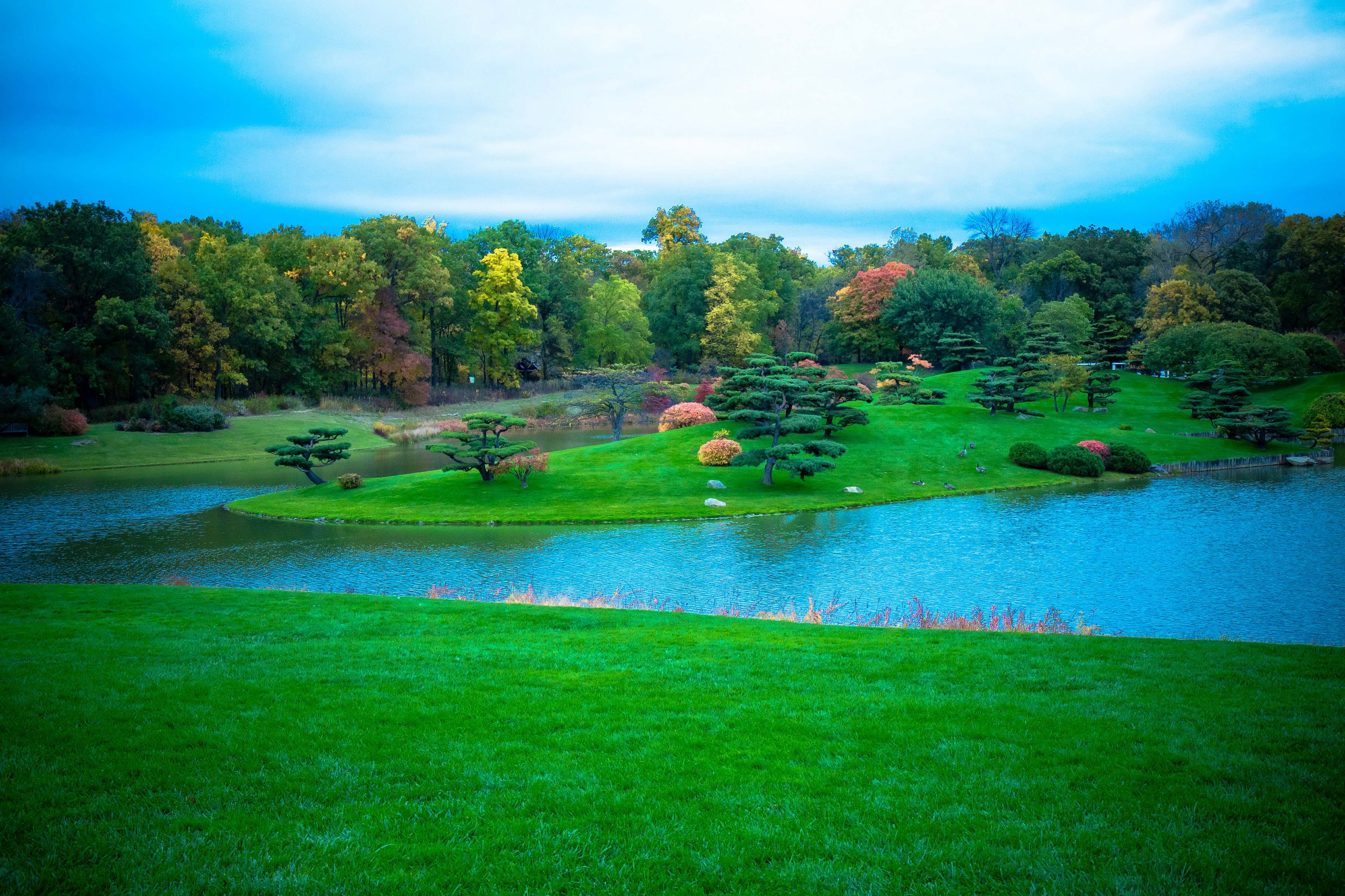 Photography Park HD Wallpaper | Background Image