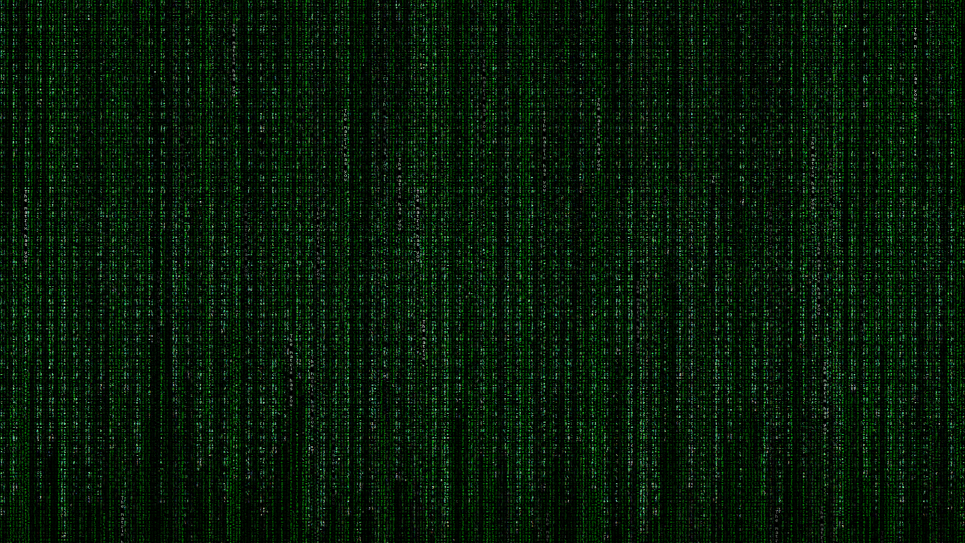 Matrix Papel de Parede HD | Plano de Fundo | 1920x1080 | ID:830349