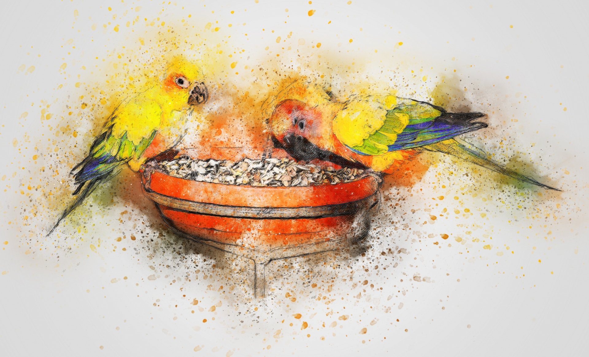 A vibrant watercolor depiction of two Sun Parakeets perched near a bowl of food, showcasing their bright colors and playful nature, suitable as an HD desktop wallpaper.