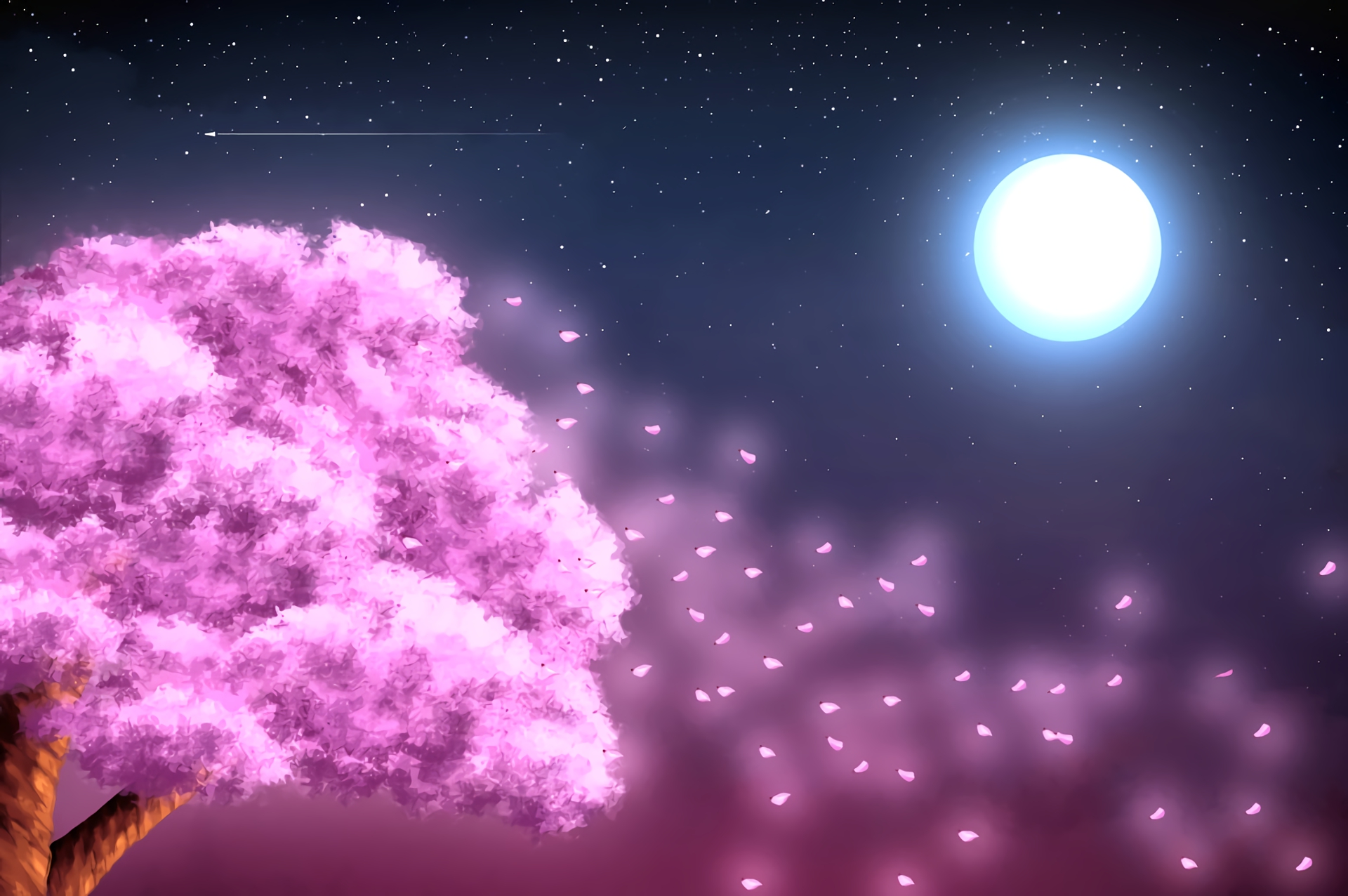 Your Lie in April: Serene Sakura Night HD Wallpaper
