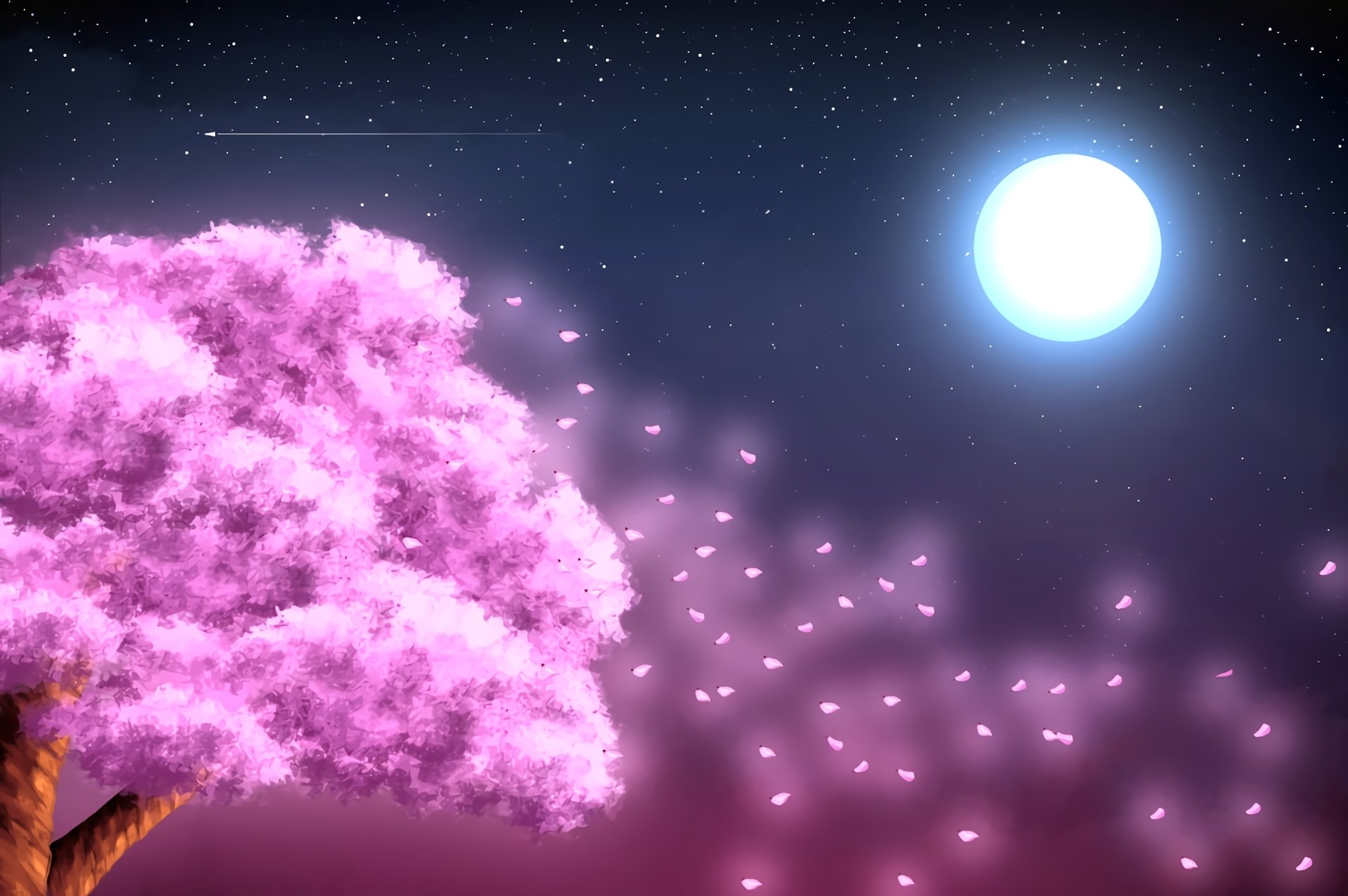 Anime HD PC desktop wallpaper from Your Lie in April, featuring a glowing full moon and pink cherry blossoms gently falling at night.