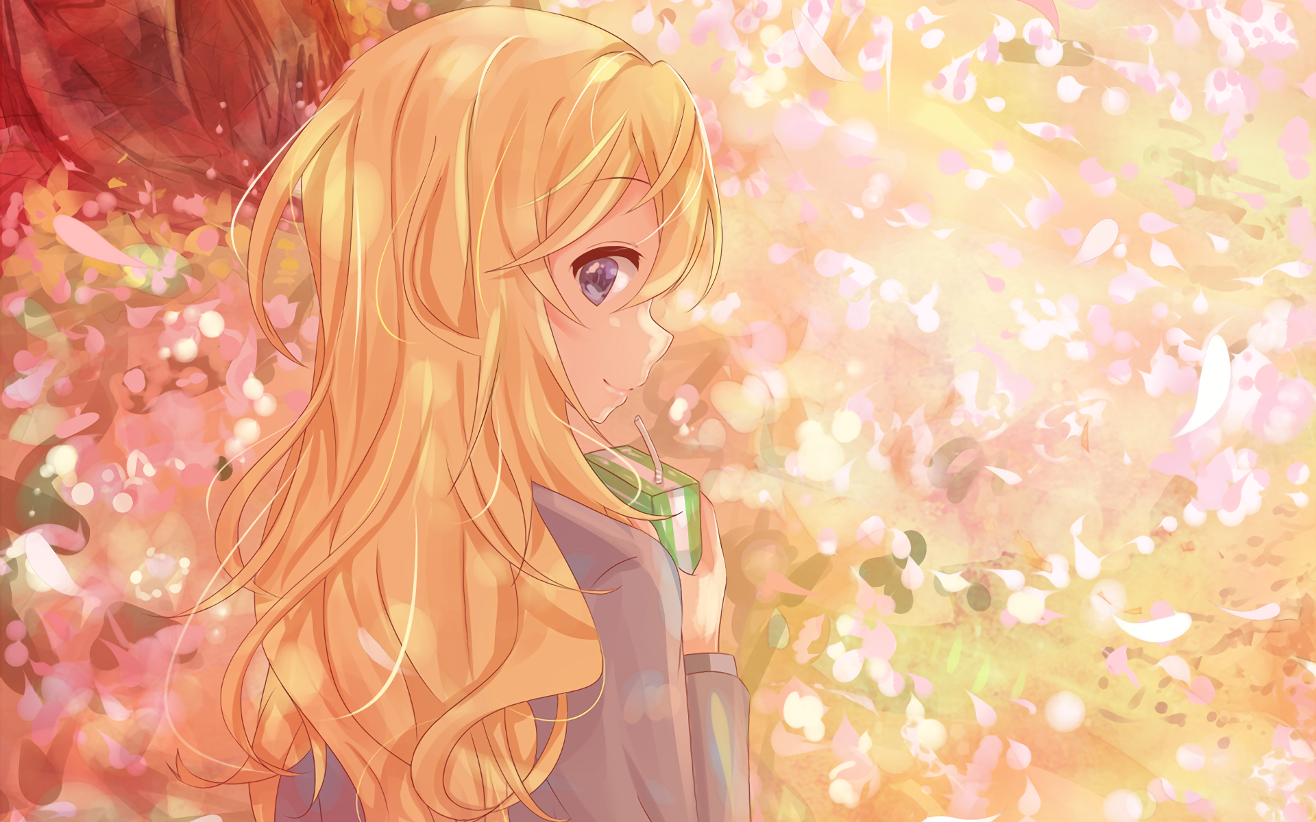 HD anime desktop wallpaper featuring Kaori Miyazono from Your Lie in April, surrounded by warm light and falling cherry blossom petals.