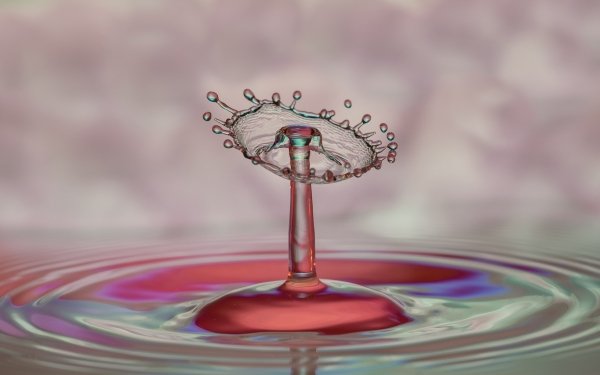 Photography Water Drop Macro Water HD Wallpaper | Background Image