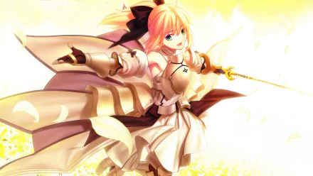 HD anime wallpaper featuring Saber Lily from Fate/unlimited codes, showcasing dynamic pose and bright, golden hues in a Fate Series-themed desktop background.