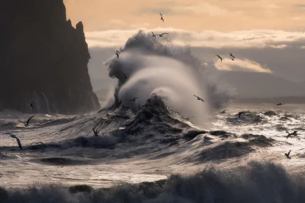 HD desktop wallpaper featuring a dramatic ocean wave crashing against a rocky shore with seagulls flying in the background, tagged with nature, ocean, wave.