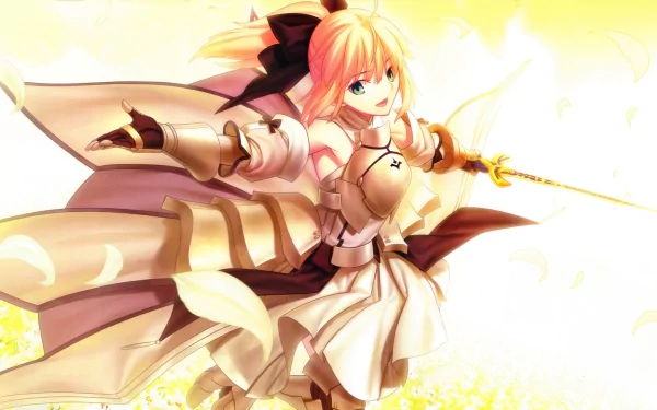 HD anime wallpaper featuring Saber Lily from Fate/unlimited codes, showcasing dynamic pose and bright, golden hues in a Fate Series-themed desktop background.