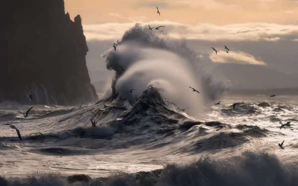 HD desktop wallpaper featuring a dramatic ocean wave crashing against a rocky shore with seagulls flying in the background, tagged with nature, ocean, wave.