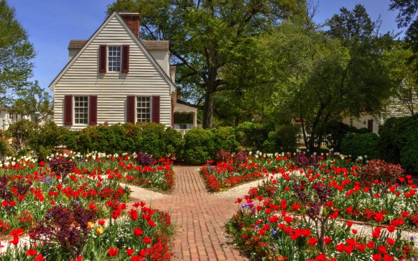 Hecho por el hombre Jardín Flor Primavera Casa Edificio Tulipán Fondo de pantalla HD | Fondo de Escritorio