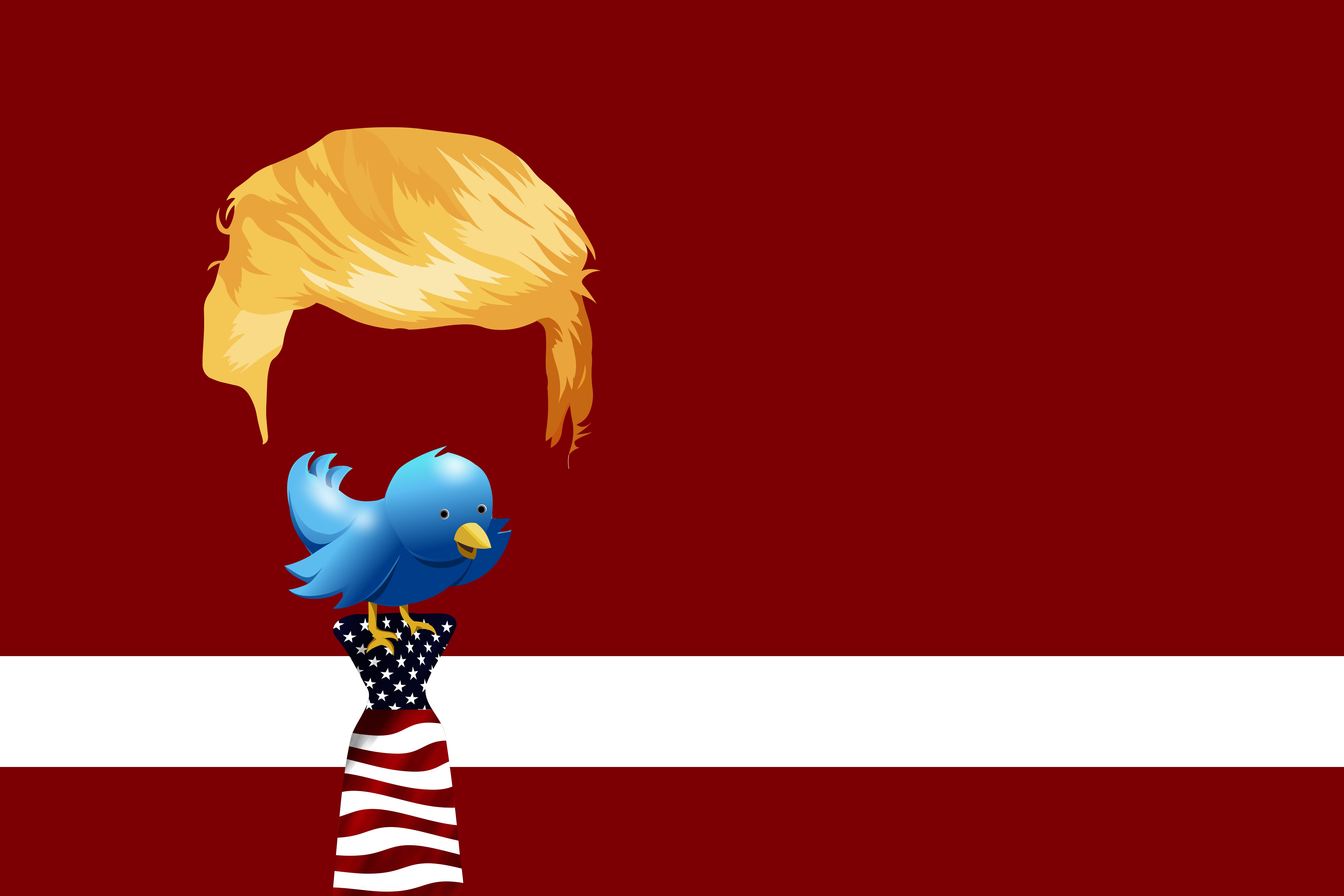 Celebrity Donald Trump HD Wallpaper | Background Image