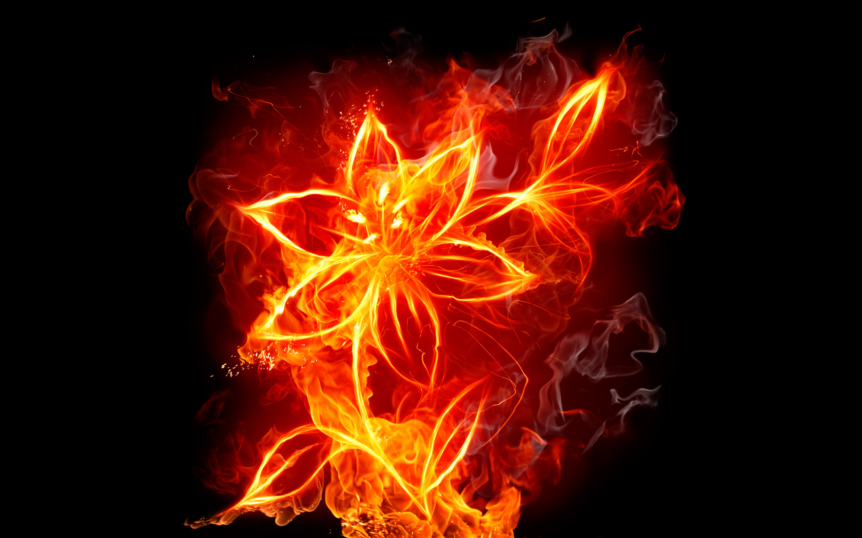 A high-definition desktop wallpaper featuring a CGI artistic depiction of a flower made of vibrant, fiery colors against a black background.