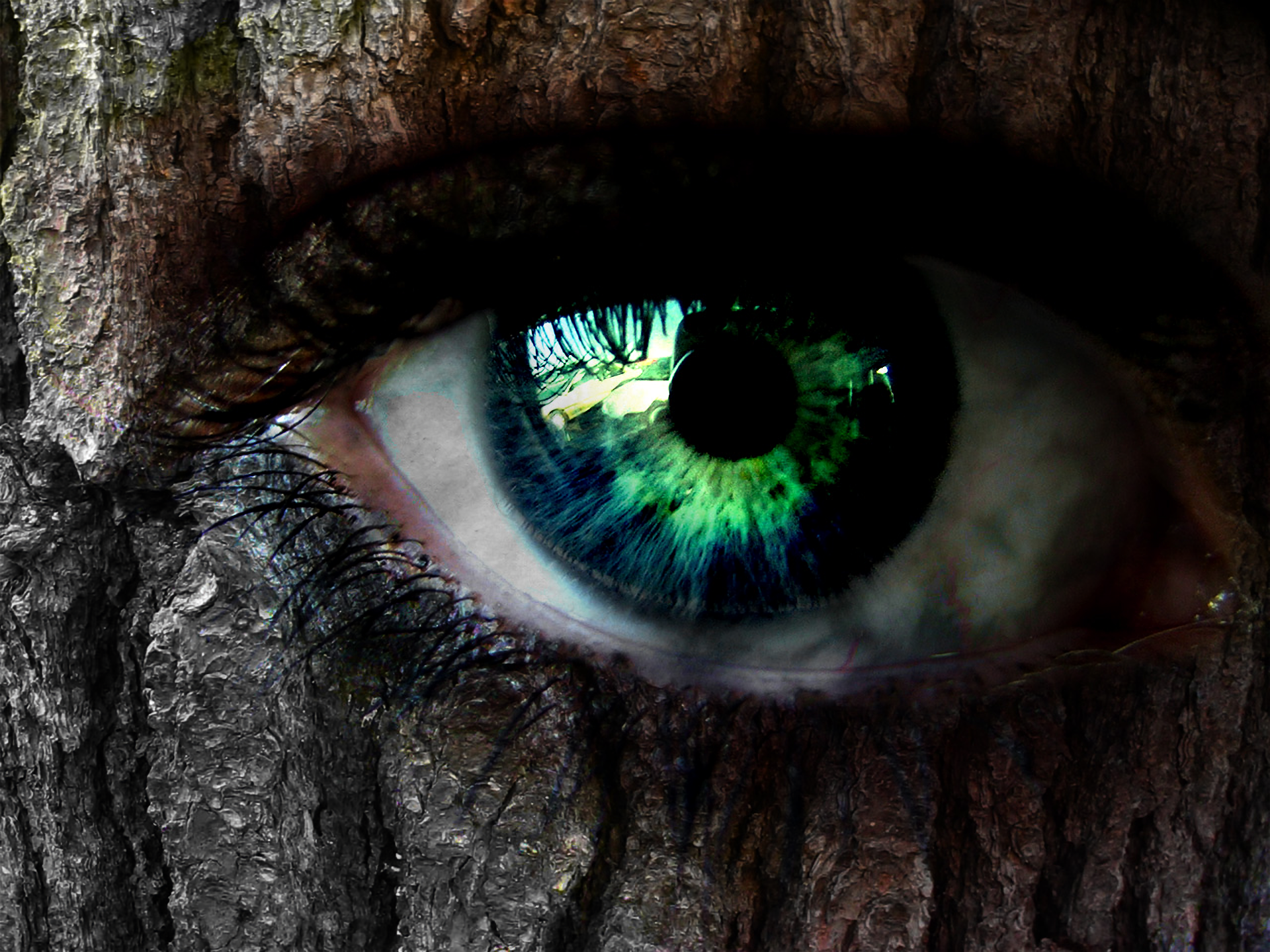 Магические глазки. Глаз мистика. Зелёные глаза. Красивые глазки. Красивые зеленые глаза.