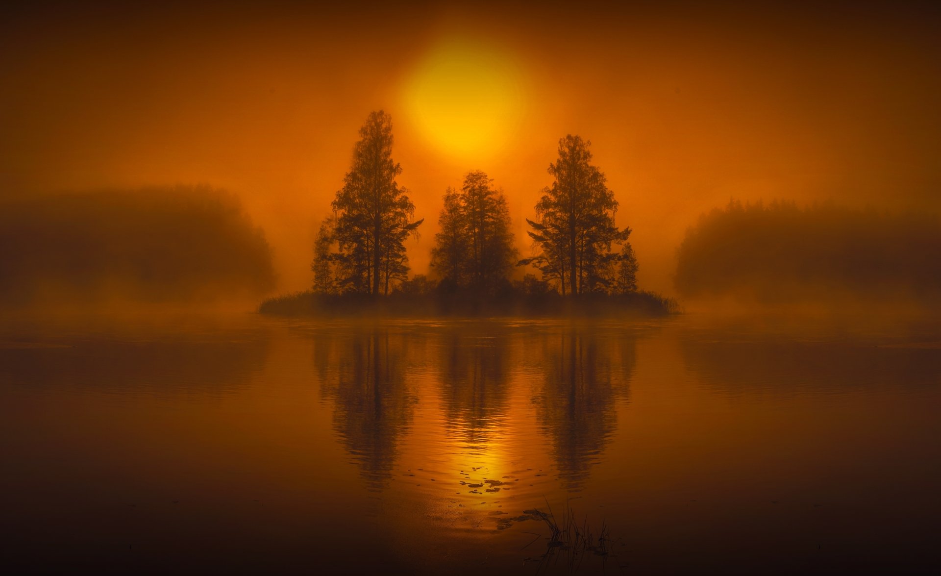 Fog 4k Ultra HD Wallpaper.