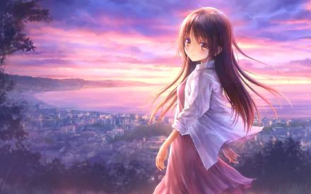 HD anime desktop wallpaper featuring Shinohara Himeko from Narcissu, standing on a hill overlooking a city at sunset with vibrant, colorful skies.