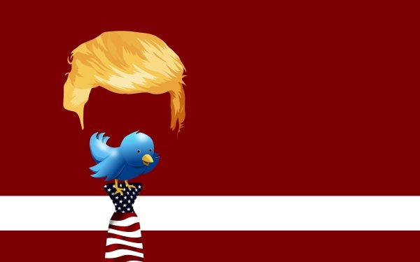 Celebrity Donald Trump Twitter American Humor Tie HD Wallpaper | Background Image