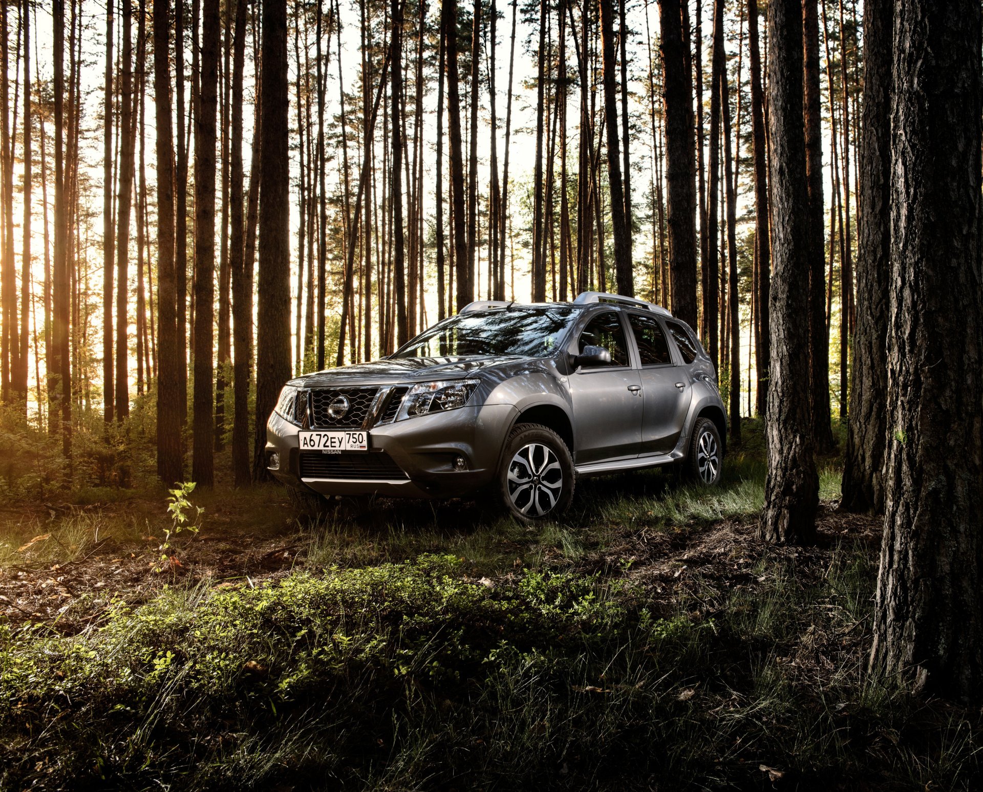 Silver Nissan Terrano SUV parked in a sunlit pine forest on mossy ground with rays of light — 4K Ultra HD PC desktop wallpaper and background.