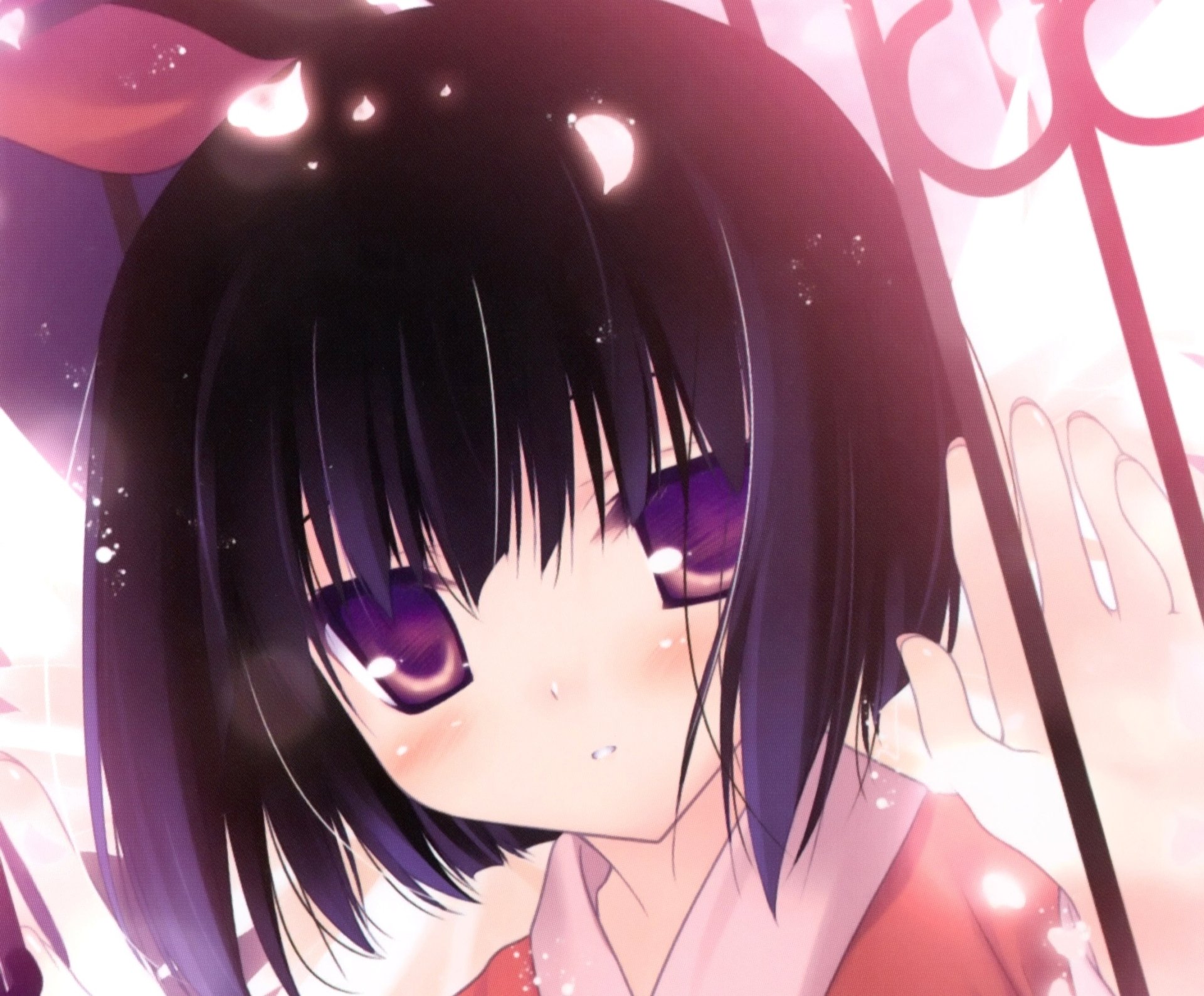 Download Cherry Blossom Blush Purple Eyes Short Hair Black Hair Anime Original HD Wallpaper by Chikotam