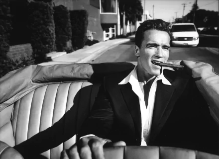 American actor cabriolet Black & White cigar Celebrity Arnold Schwarzenegger HD Desktop Wallpaper | Background Image