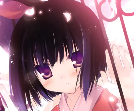cherry blossom blush purple eyes short hair black hair Anime Original HD Desktop Wallpaper | Background Image
