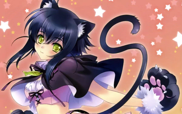 Anime Aquarian Age HD Desktop Wallpaper | Background Image