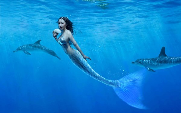 Fantasy Mermaid Underwater Dolphin HD Wallpaper | Background Image