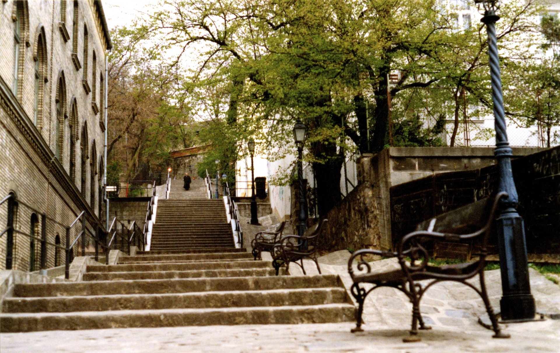 A serene view of a village with stone steps leading up, framed by benches and leafy trees, creating a peaceful atmosphere for a captivating HD desktop wallpaper.