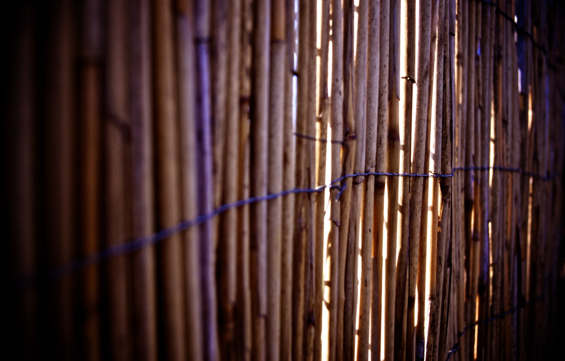 Close-up photography of vertical bamboo slats bathed in warm light and shadow — 2K Quad HD PC desktop wallpaper and background.
