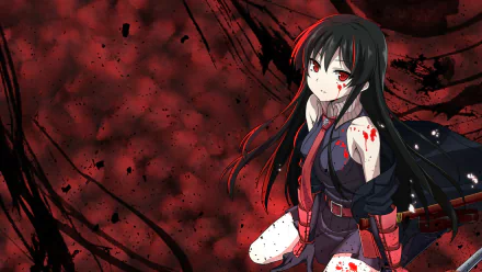 HD desktop wallpaper of Akame from the anime Akame ga Kill! against a dramatic red and black background, showcasing her intense and determined expression.