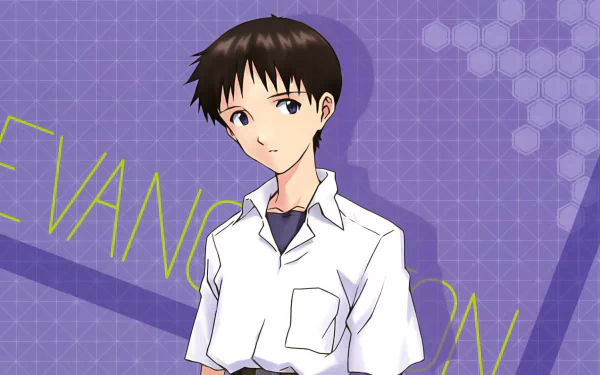 Shinji Ikari Anime Neon Genesis Evangelion HD Desktop Wallpaper | Background Image
