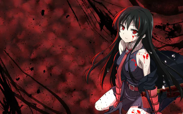 HD desktop wallpaper of Akame from the anime Akame ga Kill! against a dramatic red and black background, showcasing her intense and determined expression.