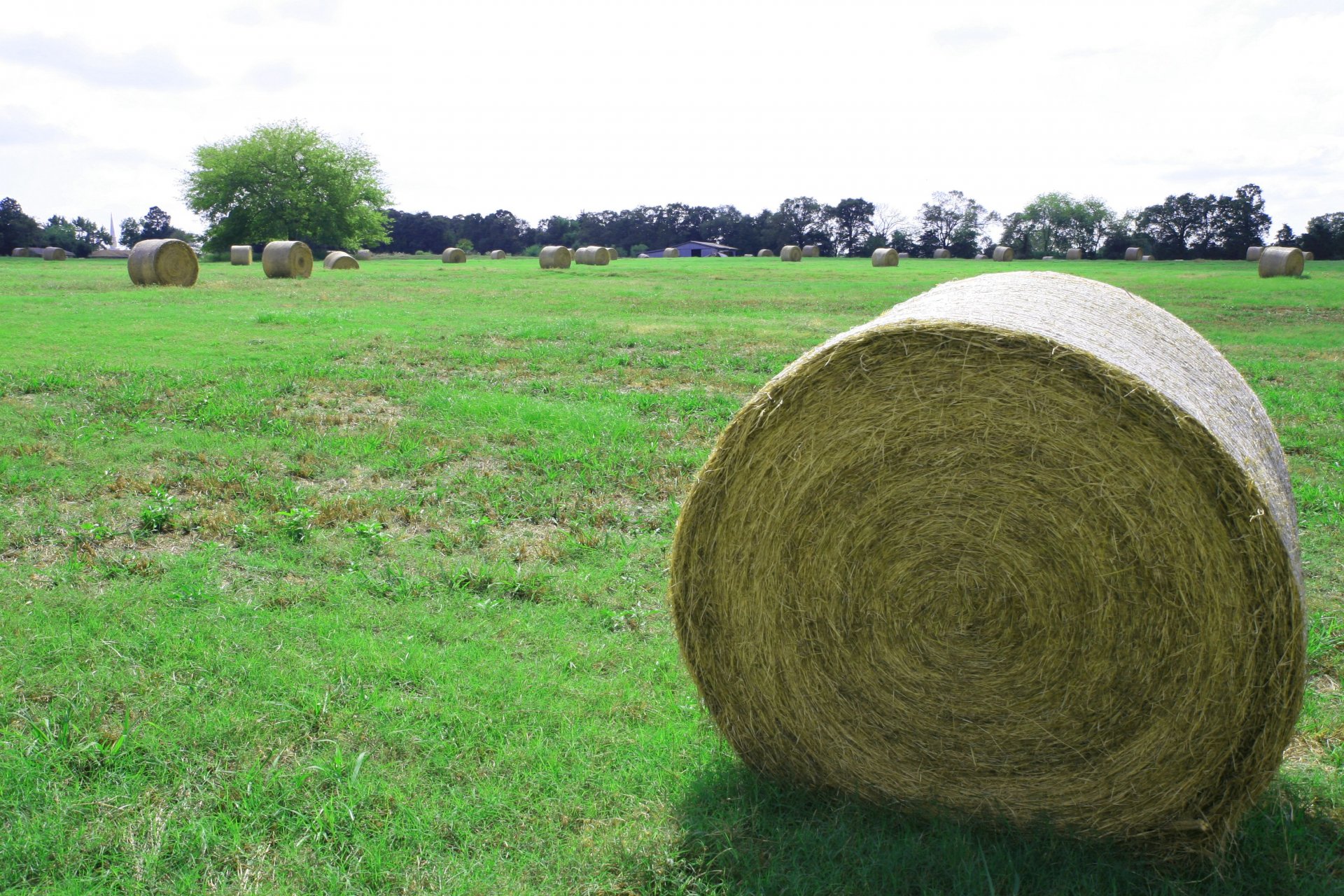 Download Nature Haystack HD Wallpaper