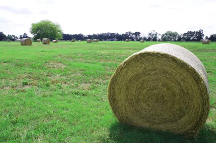nature haystack HD Desktop Wallpaper | Background Image