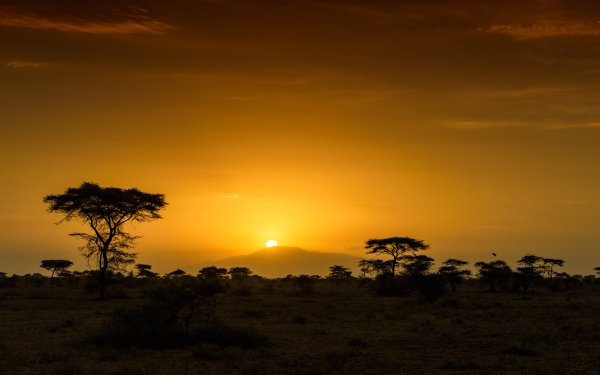 Nature Sunrise Africa Dawn Tanzania Savannah HD Wallpaper | Background Image