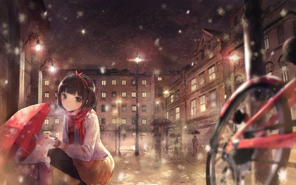 Anime Original Winter Dog Umbrella Bicycle Black Hair Short Hair Scarf Street Light Night Building HD Wallpaper | Background Image