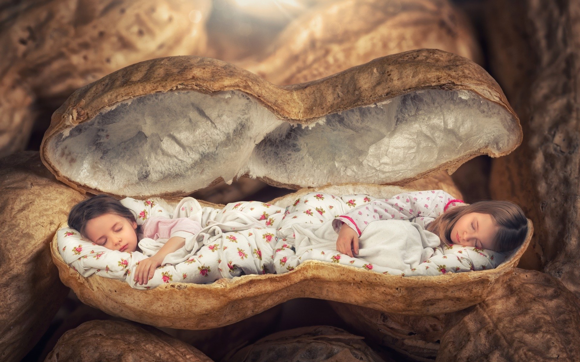 HD desktop wallpaper of two sleeping little girls inside a giant walnut shell, blending photography and digital manipulation to create a whimsical child-themed scene.