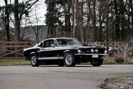 Black Ford Shelby GT350 fastback muscle car parked on a country road, 4K Ultra HD PC desktop wallpaper background.