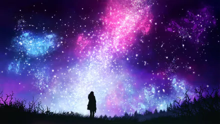 A stunning HD desktop wallpaper featuring an anime character silhouetted against a fantasy night sky filled with stars and vibrant aurora australis hues.