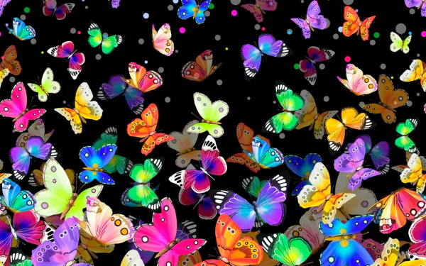  Bright and Colorful Butterflies
