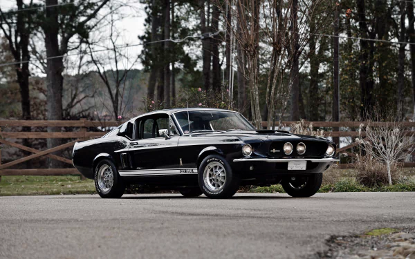Black Ford Shelby GT350 fastback muscle car parked on a country road, 4K Ultra HD PC desktop wallpaper background.