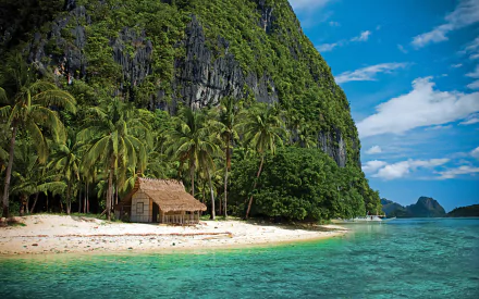 HD PC desktop wallpaper background of a tropical island: palm trees and limestone cliffs, a small man-made bungalow hut on white sand beside turquoise ocean waters.