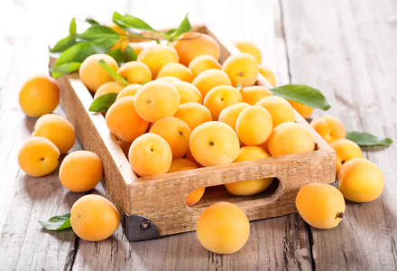 fruit food apricot HD Desktop Wallpaper | Background Image