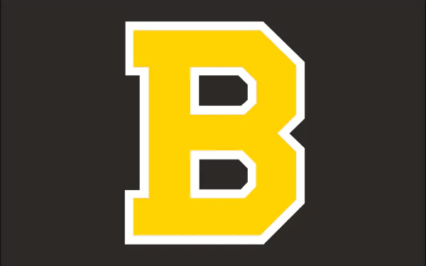 Boston Bruins Sports HD Desktop Wallpaper | Background Image