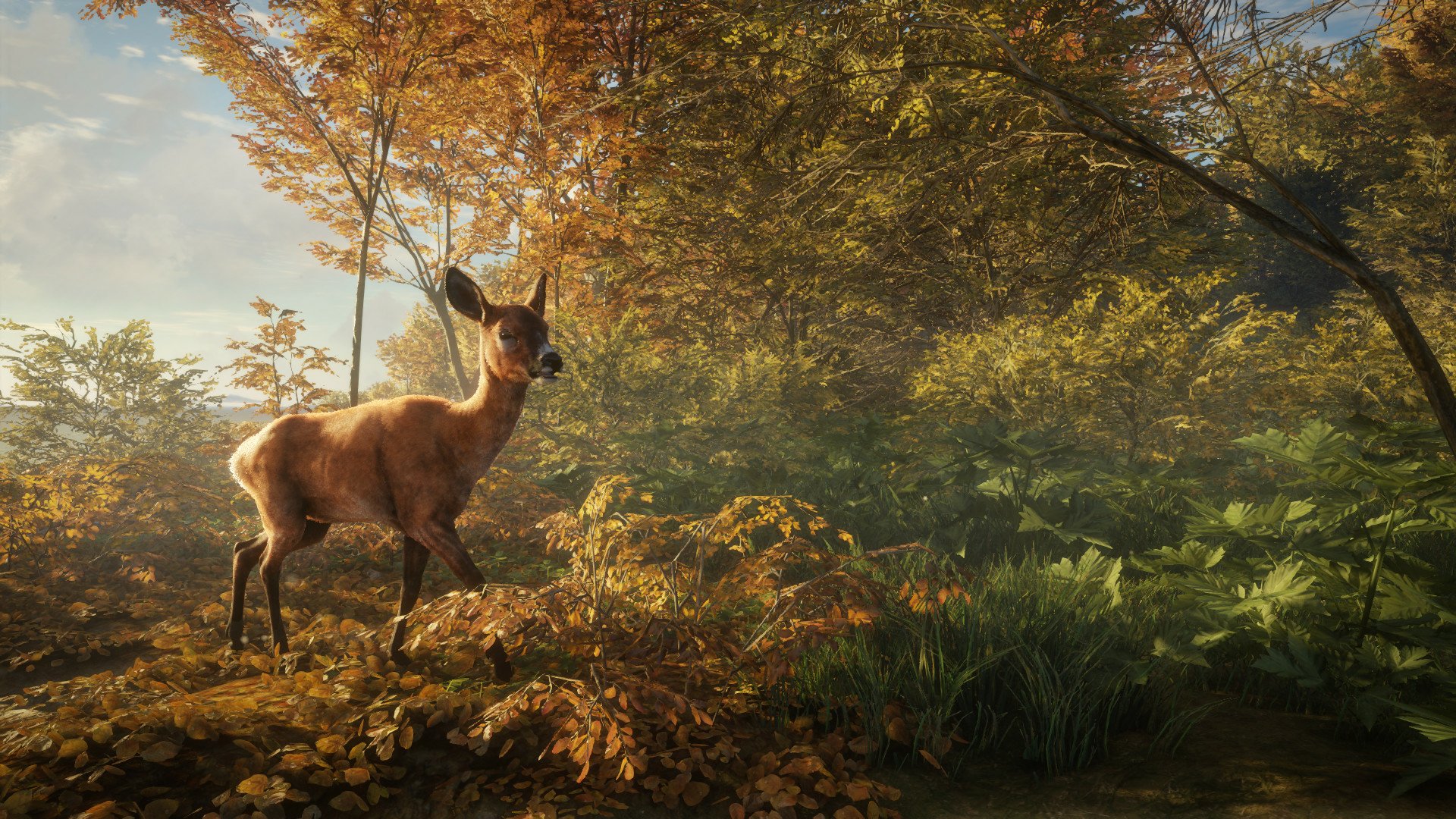 HD PC desktop wallpaper: a realistic deer pauses in sunlit autumn woods, from the video game theHunter: Call of the Wild.
