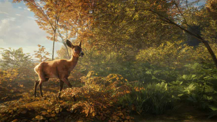 HD PC desktop wallpaper: a realistic deer pauses in sunlit autumn woods, from the video game theHunter: Call of the Wild.