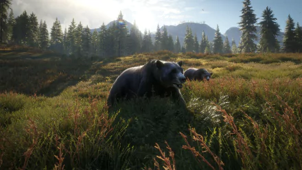 HD PC desktop wallpaper from the video game theHunter: Call of The Wild featuring two bears in a sunlit forest clearing.