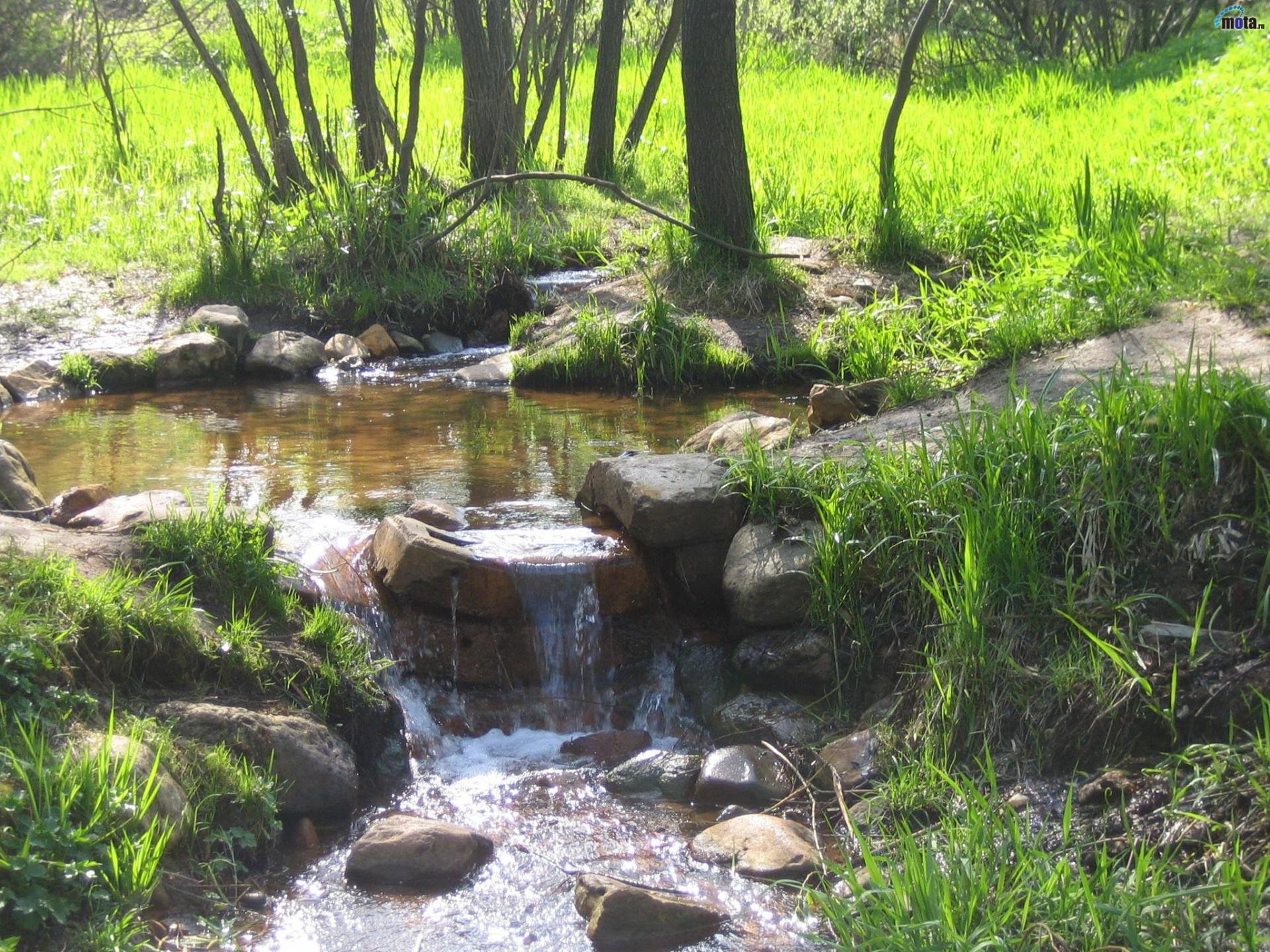 A serene natural scene featuring a gentle waterfall cascading over rocks into a tranquil stream, surrounded by lush grass and trees, creating a peaceful outdoor atmosphere.