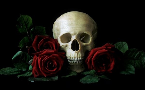 Wallpaper ID: 862839