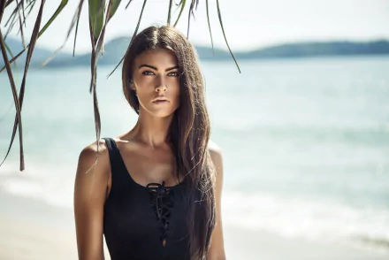 Brunette model in a black swimsuit framed by palm fronds on a sunlit beach, shallow depth of field; 5K Ultra HD PC desktop wallpaper/background.