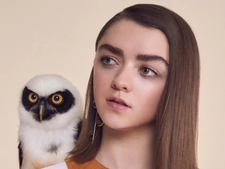 owl Celebrity Maisie Williams HD Desktop Wallpaper | Background Image